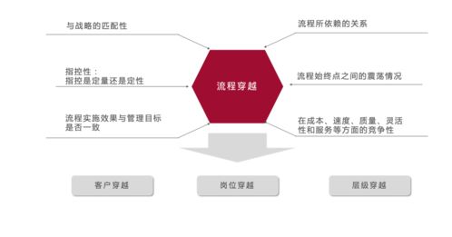 賦能敏捷組織 睿山信達(dá)人力資本如何驅(qū)動企業(yè)精細(xì)化管理